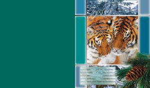 Pair of striped tigers cuddle in the snow framed by a film strip