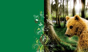 Profile of a brown bear on the background of a green forest in the daylight