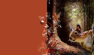 Profile of a brown squirrel on the background of a dense forest in the daylight