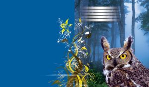 Full face of a long eared owl on the background of a blue moonlight forest