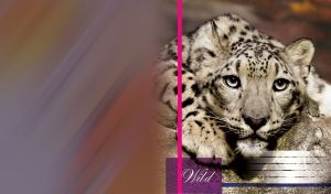 Closeup portrait of spotted Leopard. Wild animal against orange and brown.