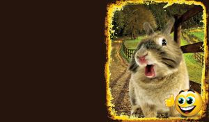 Giggling tan rabbit by a wooden fence on a farm in a yellow frame