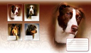 Photo portrait of a brown and white jack russell terrier on a silk brown gradient