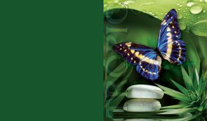 Butterfly with blue and white-patterned wings sits on the green leaves