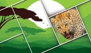 Leopard in a square tilted frame on a green sunrise in the savanna landscape