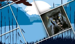 Puma in a square tilted frame on a blue sunrise in the savanna landscape