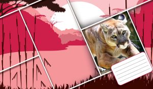 Cougar in a square tilted frame on a pink sunrise in the savanna landscape