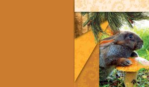 Forest Dwellers | Wild Animals in Vibrant Woodland Scenes