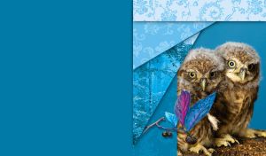 Pair of tan owlets sitting on a branch by the frozen light-blue leaves