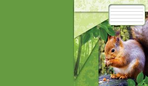 Red squirrel eating nuts on a wooden bench under green leaves