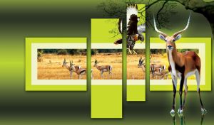 Antelope and eagle in front a photo of a herd of antelopes in dark green gallery