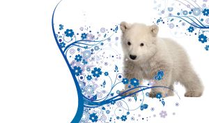 Polar bear cub on a white background of patterns of blue swirls and flowers