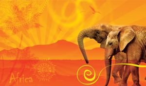 Elephant couple walk in the rays of an orange sunrise with African ornaments