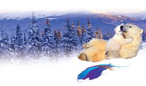 A polar bear mother petting her cub on the snow at the edge of winter spruce forest