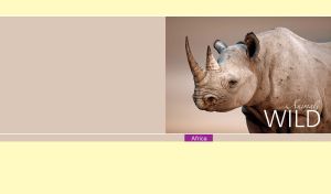 Portraits of the Wild | African Animals on Pastel Beige & Yellow