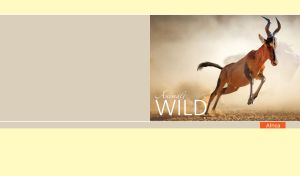 Wild African antelope in the desert on beige and pastel yellow backdrop