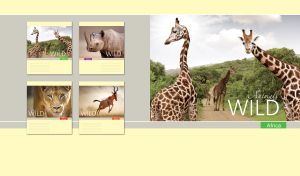 Wild African giraffes in the green savannah on beige and pastel yellow backdrop