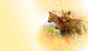 Red fox cubs play in the wild against pastel yellow vignette backdrop