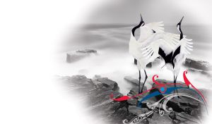 Gorgeous pair of japanese cranes on a black and white rocks in the mist