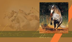 Portrait of a fleabitten grey horse pawing on a tan-brown background