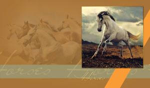 Portrait of a white lusitano horse galloping on a tan-brown background