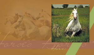 Portrait of an albino horse in the swamp on a tan-brown background