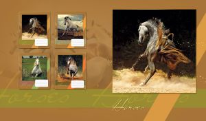 Portrait of a black arabian horse making dust on a tan-brown background