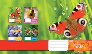 Red peacock butterfly on the blade of a green grass covered with dew