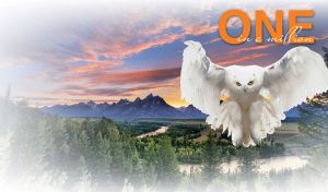 A white Snowy owl flying over a green forest and mountains in the sunset sky