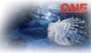 A white Peacock sitting on a rock in a dark forest on a full moon at midnight