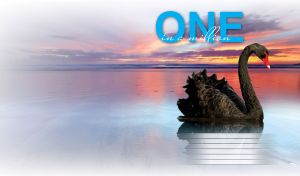 A black swan swimming in calm sea water against the backdrop of a vibrant sunset