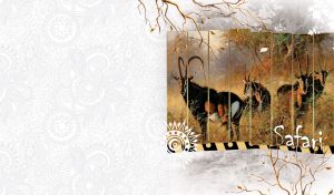 Safari | African Wildlife Wall Art on Multiple Panels | on Pastel White