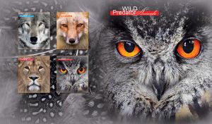 A closeup of a gray owl with orange eyes on a grey fluff and feather texture