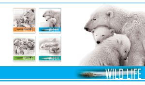 Three black and white polar bears cuddling against a white vignette