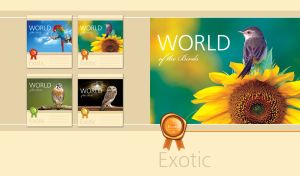 Plain Prinia bird sits on a yellow sunflower on a beige-yellow background