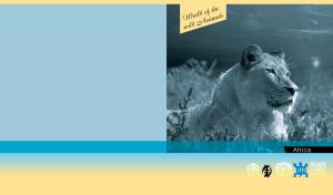 Blue monochrome image of a lioness in the wild on a light blue background