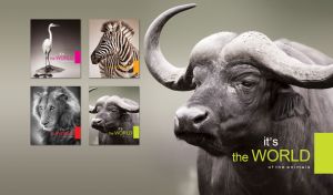 Black buffalo with long horns curved in a crescent on a green-grey gradient