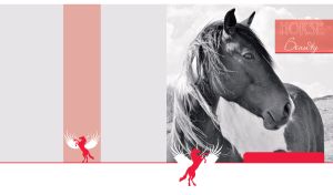 Horse Beauty | Graceful Black-&-White Portraits on Gray