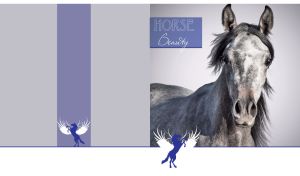 Beautiful portrait of a dapple gray horse on light gray background