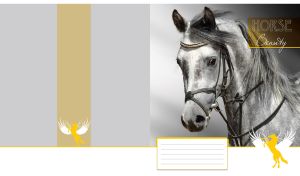 Beautiful black and white portrait of an arabian horse in bridle on gray