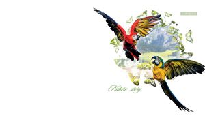 Nature Story | Wildlife Battles in a Vignette of Butterflies on White