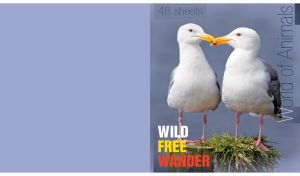 Wild Free Wander | Animal Duos on Monochrome Canvas