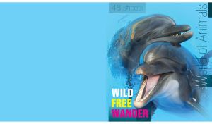 Couple of gray dolphins on the water surface on a blue monochrome backdrop