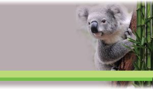 Grey & Fluffy | Endearing Creatures on Pastel Canvas