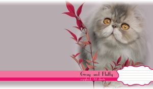 Fluffy persian cat against pastel gray background with red leaves