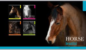 Beautiful head profile of a brown bay horse with a black bang on black