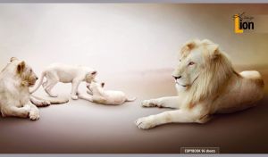 Lion family on a brown-beige gradient background