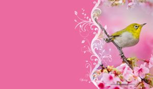 Spring | Birds and a Butterfly with Floral Decor Accents