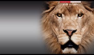 Lion muzzle portrait with golden predator eyes on pastel black