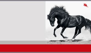 Monochromatic shot of a black purebred horse on a pastel gray and red backdrop